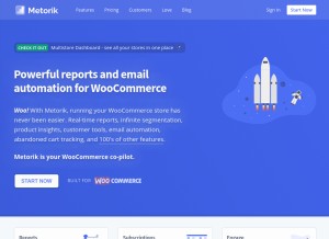 How metorik.com looks like on a tablet such as an iPad.
