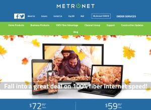 How metronetinc.com looks like on a tablet such as an iPad.
