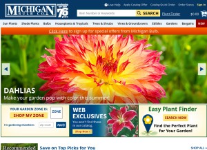 How michiganbulb.com looks like on a tablet such as an iPad.