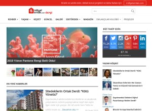 How milliyetemlak.com looks like on a tablet such as an iPad.