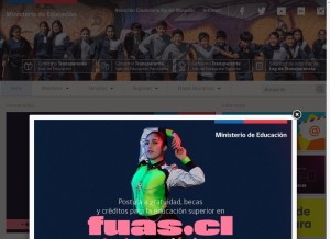 How mineduc.cl looks like on a tablet such as an iPad.