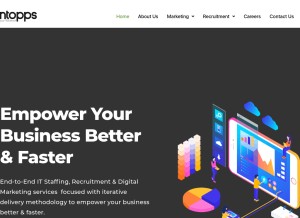 How mintopps.com looks like on a tablet such as an iPad.