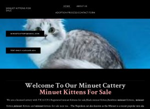 How minuetcattery.company.com looks like on a tablet such as an iPad.