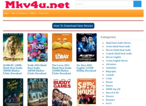 How mkv4u.net looks like on a tablet such as an iPad.