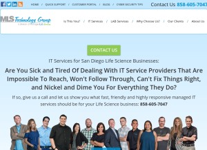 How mlstg.com looks like on a tablet such as an iPad.