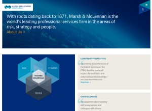 How mmc.com looks like on a tablet such as an iPad.