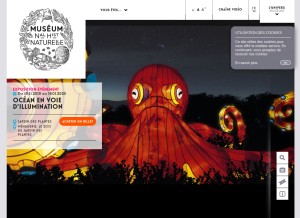 How mnhn.fr looks like on a tablet such as an iPad.