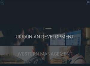 How mobilunity.com looks like on a tablet such as an iPad.