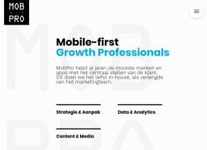 How mobpro.com looks like on a tablet such as an iPad.