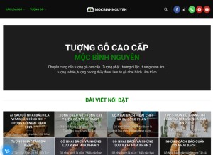 How mocbinhnguyen.com looks like on a tablet such as an iPad.