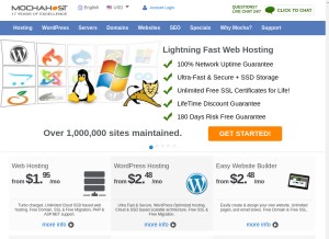 How mochahost.com looks like on a tablet such as an iPad.