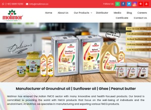 How molimor.co looks like on a tablet such as an iPad.