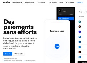 How mollie.com looks like on a tablet such as an iPad.