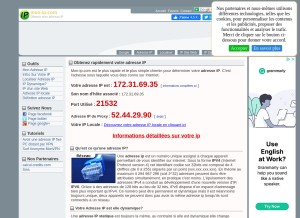 How mon-ip.com looks like on a tablet such as an iPad.