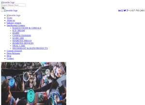 How mordorintelligence.com looks like on a tablet such as an iPad.