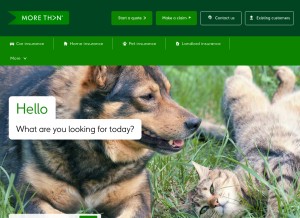 How morethan.com looks like on a tablet such as an iPad.