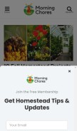 How morningchores.com looks like on a mobile device such as an iPhone.
