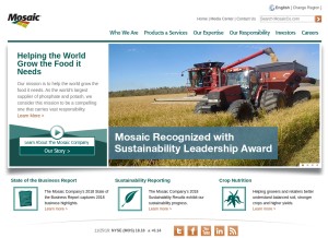 How mosaicco.com looks like on a tablet such as an iPad.