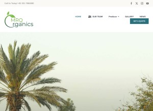 How mrqorganics.com looks like on a tablet such as an iPad.