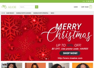 How msaloe.com looks like on a tablet such as an iPad.