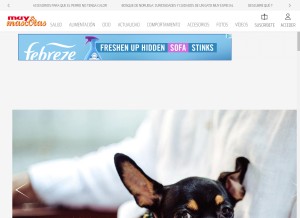 How muymascotas.es looks like on a tablet such as an iPad.