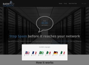 How mxguarddog.com looks like on a tablet such as an iPad.