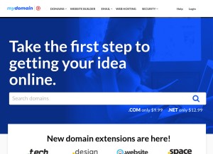 How mydomain.com looks like on a tablet such as an iPad.