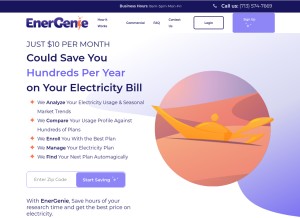 How myenergenie.com looks like on a tablet such as an iPad.