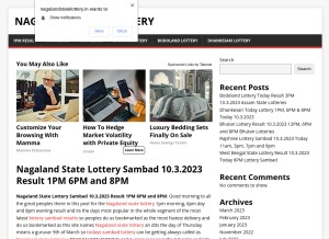 How nagalandstatelottery.in looks like on a tablet such as an iPad.