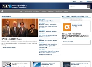 How naic.org looks like on a tablet such as an iPad.