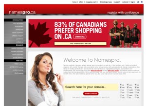 How namespro.ca looks like on a tablet such as an iPad.