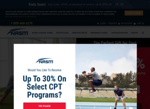 How nasm.org looks like on a tablet such as an iPad.
