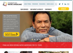 How nativepartnership.org looks like on a tablet such as an iPad.