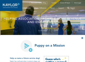 How naylor.com looks like on a tablet such as an iPad.