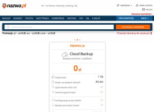 How nazwa.pl looks like on a tablet such as an iPad.