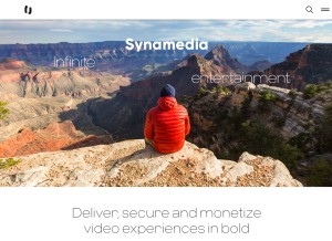 How nds.com looks like on a tablet such as an iPad.