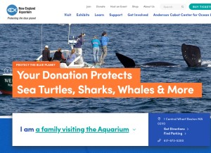How neaq.org looks like on a tablet such as an iPad.