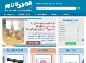 How nelsonjameson.com looks like on a tablet such as an iPad.