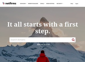 How netfirms.com looks like on a tablet such as an iPad.