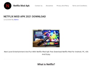 How netflixmodapk.xyz looks like on a tablet such as an iPad.