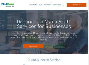 How netgainit.com looks like on a tablet such as an iPad.