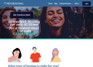 How nethosting.com looks like on a tablet such as an iPad.