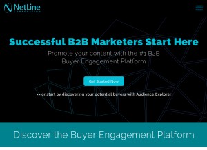 How netline.com looks like on a tablet such as an iPad.