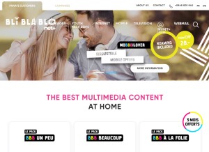 How netplus.ch looks like on a tablet such as an iPad.
