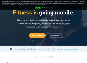 How netpulse.com looks like on a tablet such as an iPad.