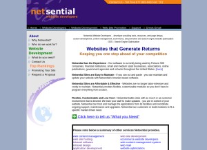 How netsential.com looks like on a tablet such as an iPad.