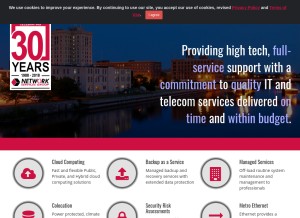 How netservicesgroup.com looks like on a tablet such as an iPad.