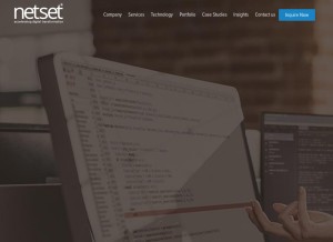 How netsetsoftware.com looks like on a tablet such as an iPad.