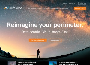 How netskope.com looks like on a tablet such as an iPad.
