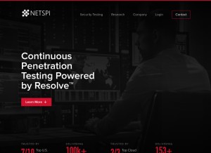 How netspi.com looks like on a tablet such as an iPad.